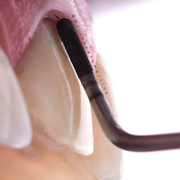 Foto: Dr. Leandro Martins